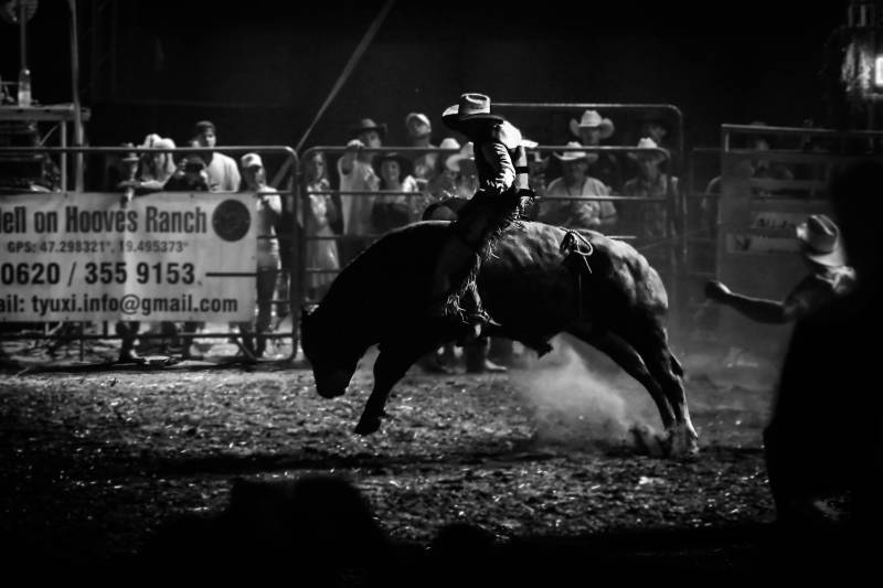 Trouver sa voie ou trouver sa voix