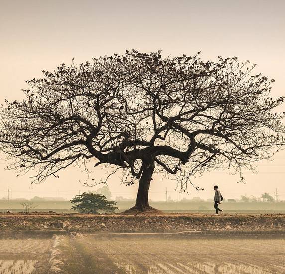 Connaitre ses mémoires transgénérationnelles : les identifier pour s'en défaire